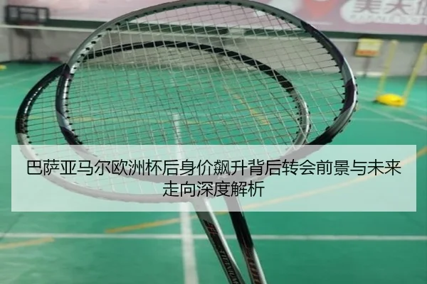 ba-sa-ya-ma-er-ou-zhou-bei-hou-shen-jia-biao-sheng-bei-hou-zhuan-hui-qian-jing-yu-wei-lai-zou-xiang-shen-du-jie-xi-2-464.jpg